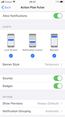 Screenshot displaying push notifications settings within an iOS device