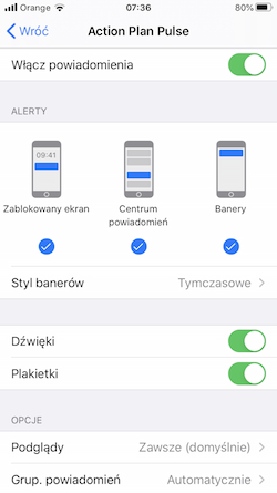 Zrzut ekranu przedstawiający ustawienia powiadomień Push w systemie iOS